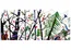 product image - Hundert's forest